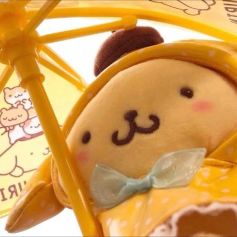 pompompurin